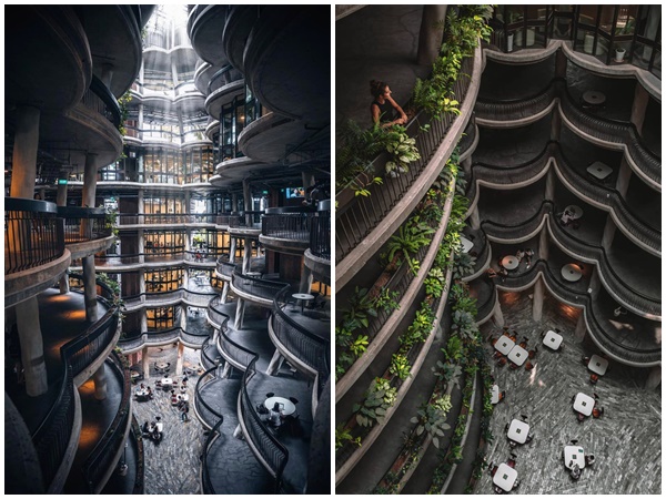 the hive 2