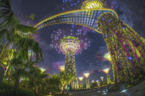 Luxury-Landscaped-Gardens-Singapore-12