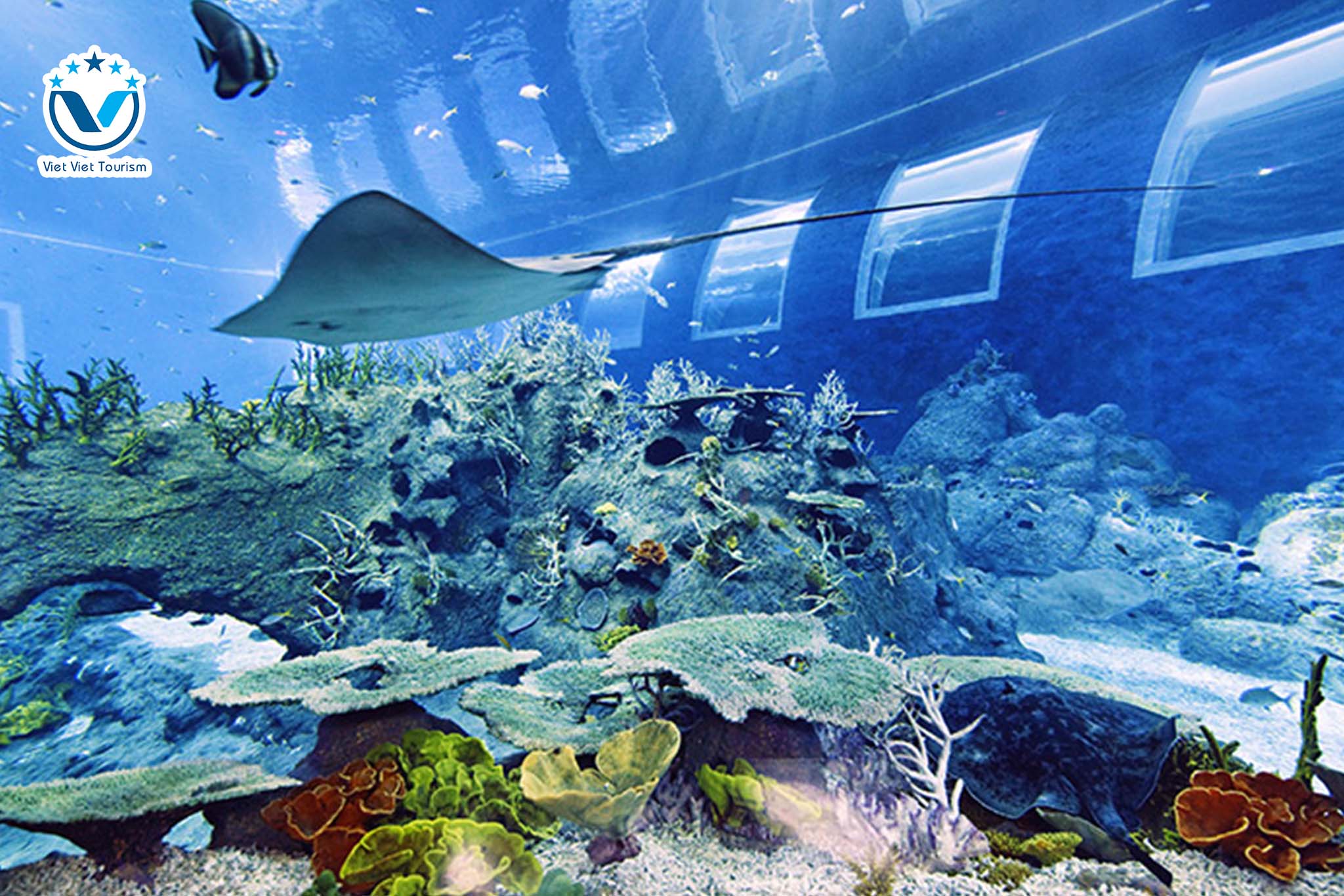 Web S.E.A Aquarium 2