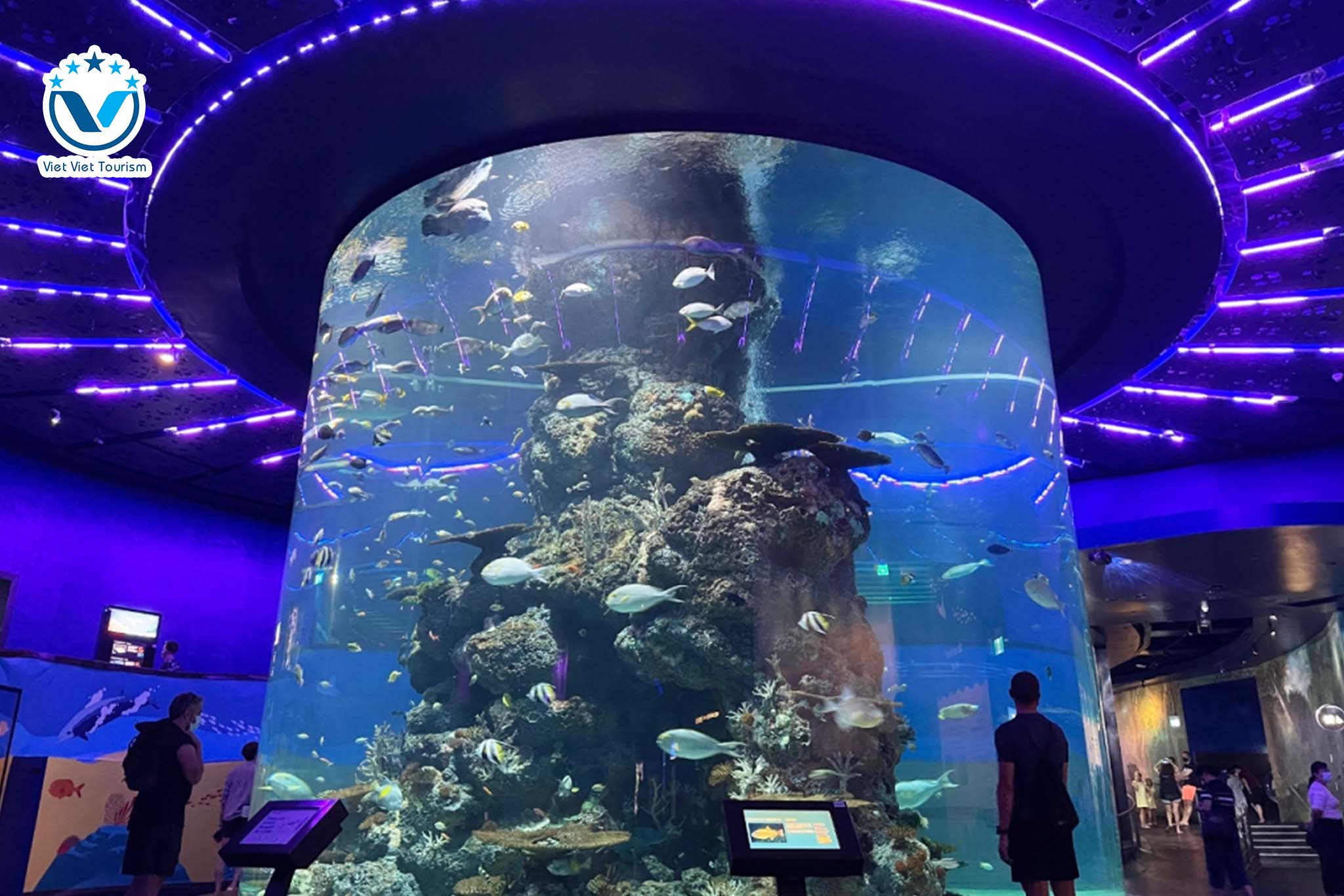 Web S.E.A Aquarium 3