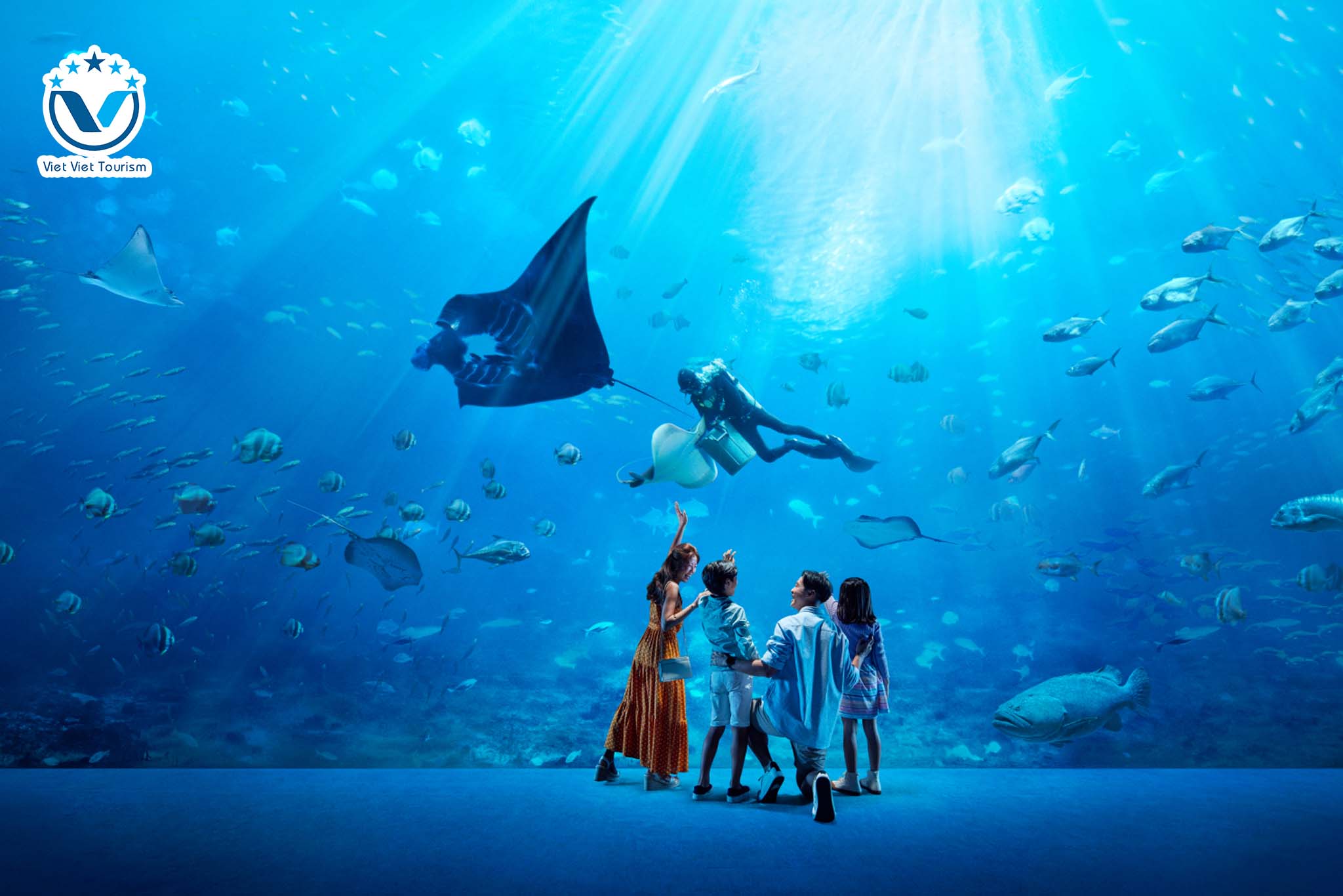 Web S.E.A Aquarium 5