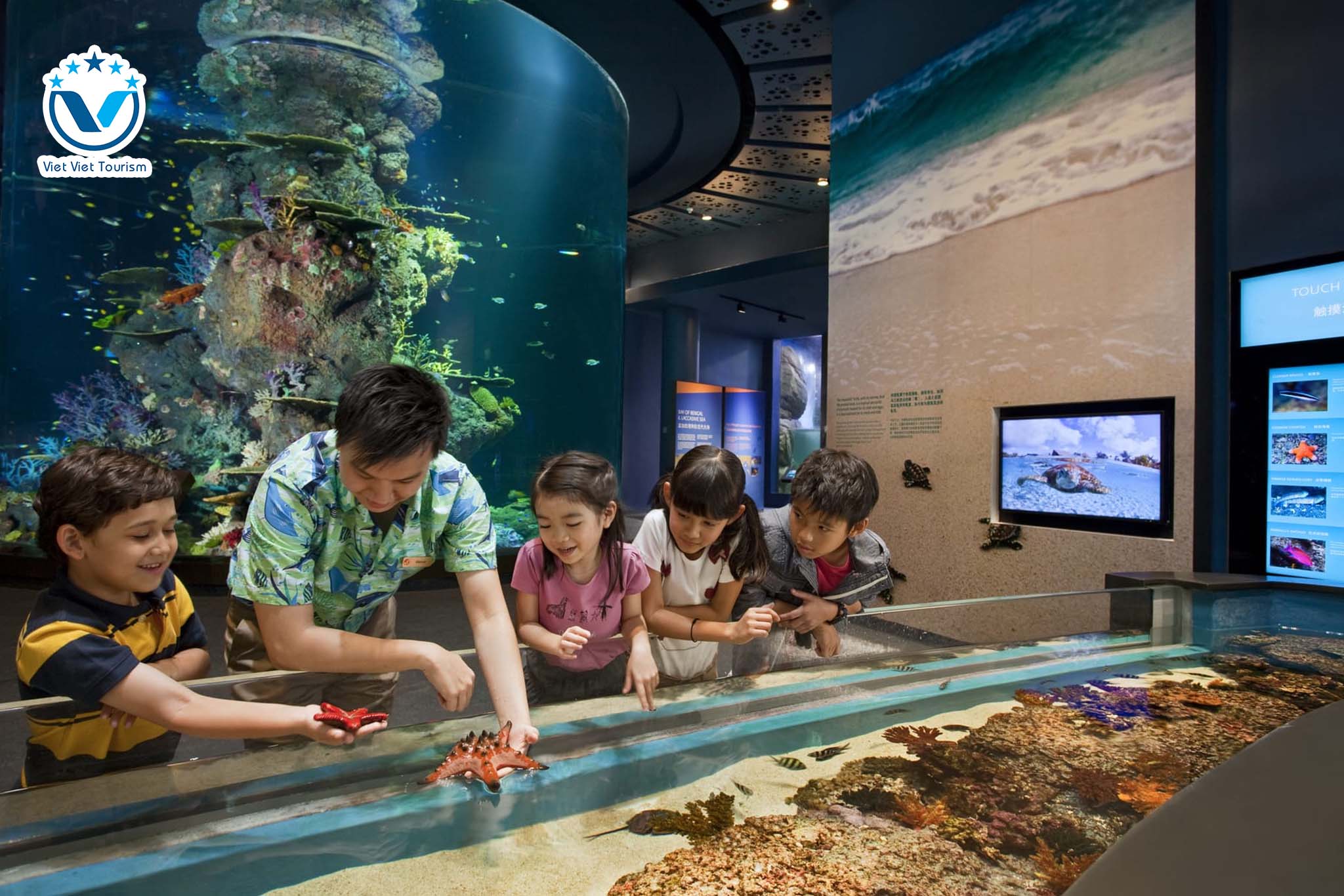 Web S.E.A Aquarium 9