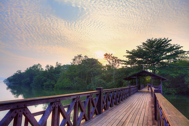 Khu bảo tồn ngập mặn Sungei Buloh