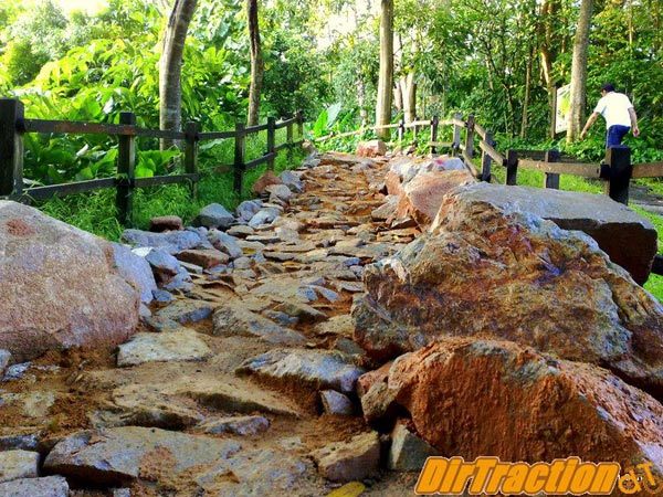 Khu bảo tồn bukit timah