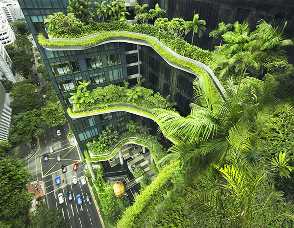 nhung toa nha cuc chat o singapore 4