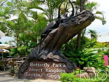 Vương quốc côn trùng tại Singapore