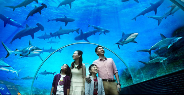 nhung ly do nen du lich singapore 10