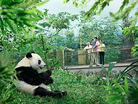 so sanh Singapore Zoo River Safari 3
