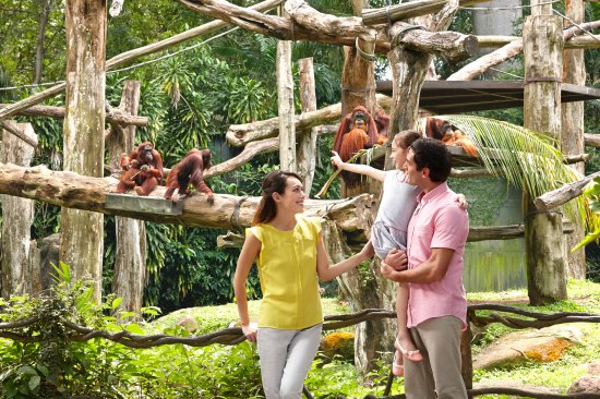so sanh Singapore Zoo River Safari 5