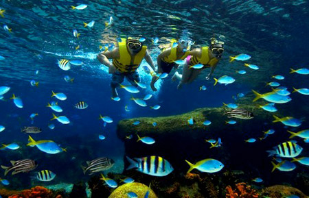 Hồ cá biển lớn nhất thế giới ở Singapore rainbow reef