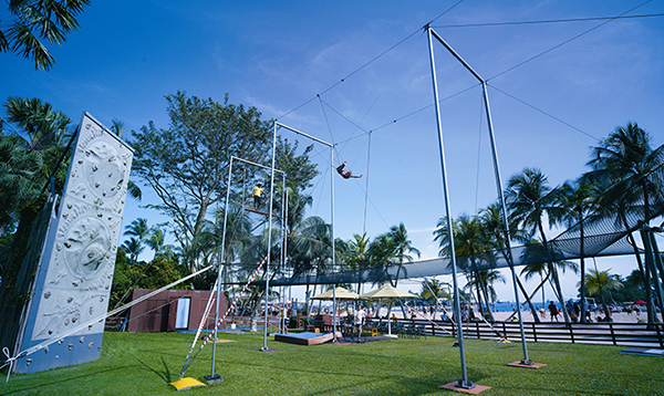 Flying Trapeze