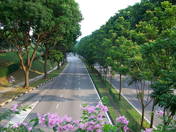 bi quyet giup singpore tro thanh con rong chau a 6