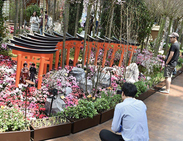 le hoi hoa anh dao 3