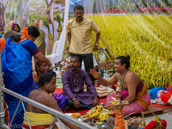 le hoi pongal 3