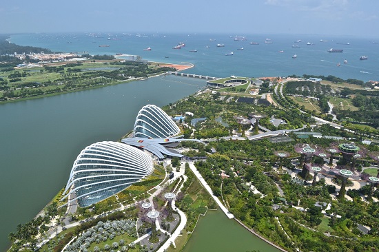 singapore mot nua dat nuoc la cay xanh 9
