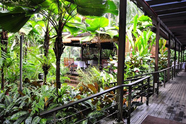 tan huong le tinh nhan o Singapore 2